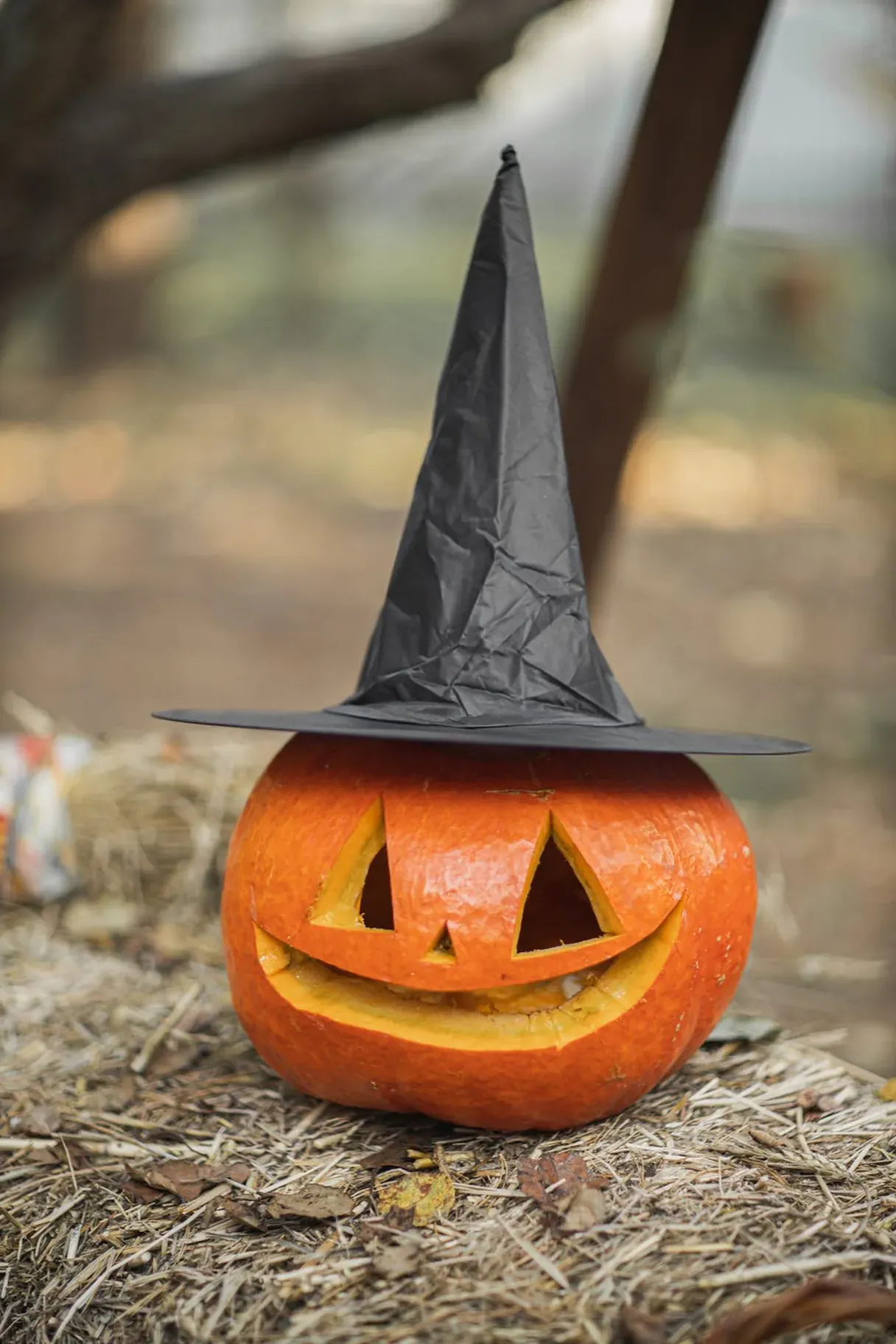 Imported media object