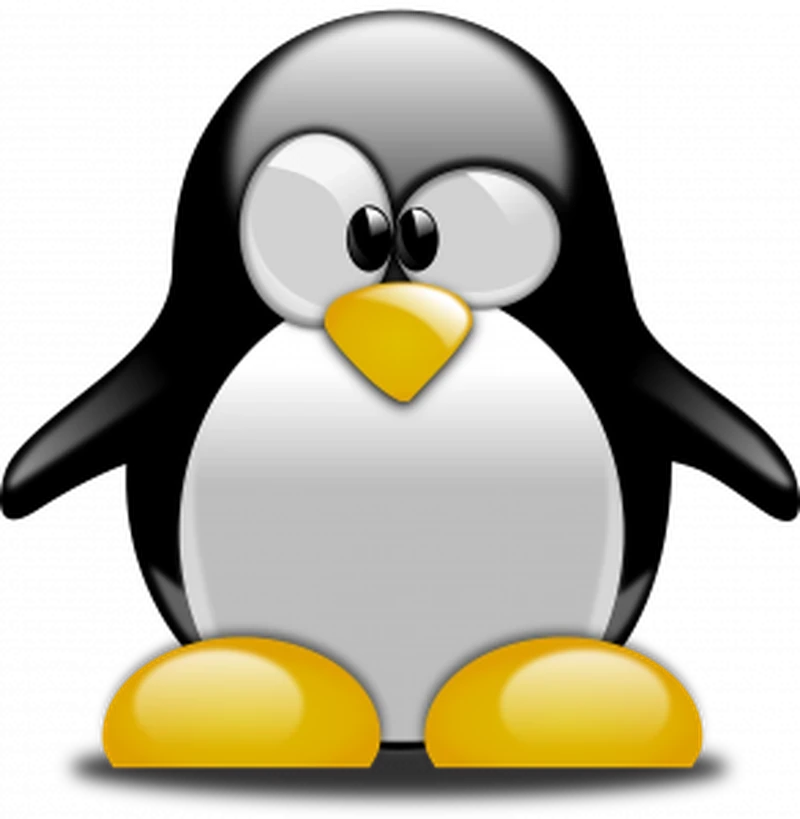 The Google Penguin Update: Bye Bye Blackhat?
